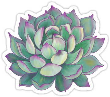 Pencil Drawing 9″×11″sketchbook Paper Coloured On Computer - Cafepress Succulent Plant Tile Coaster (375x360), Png Download