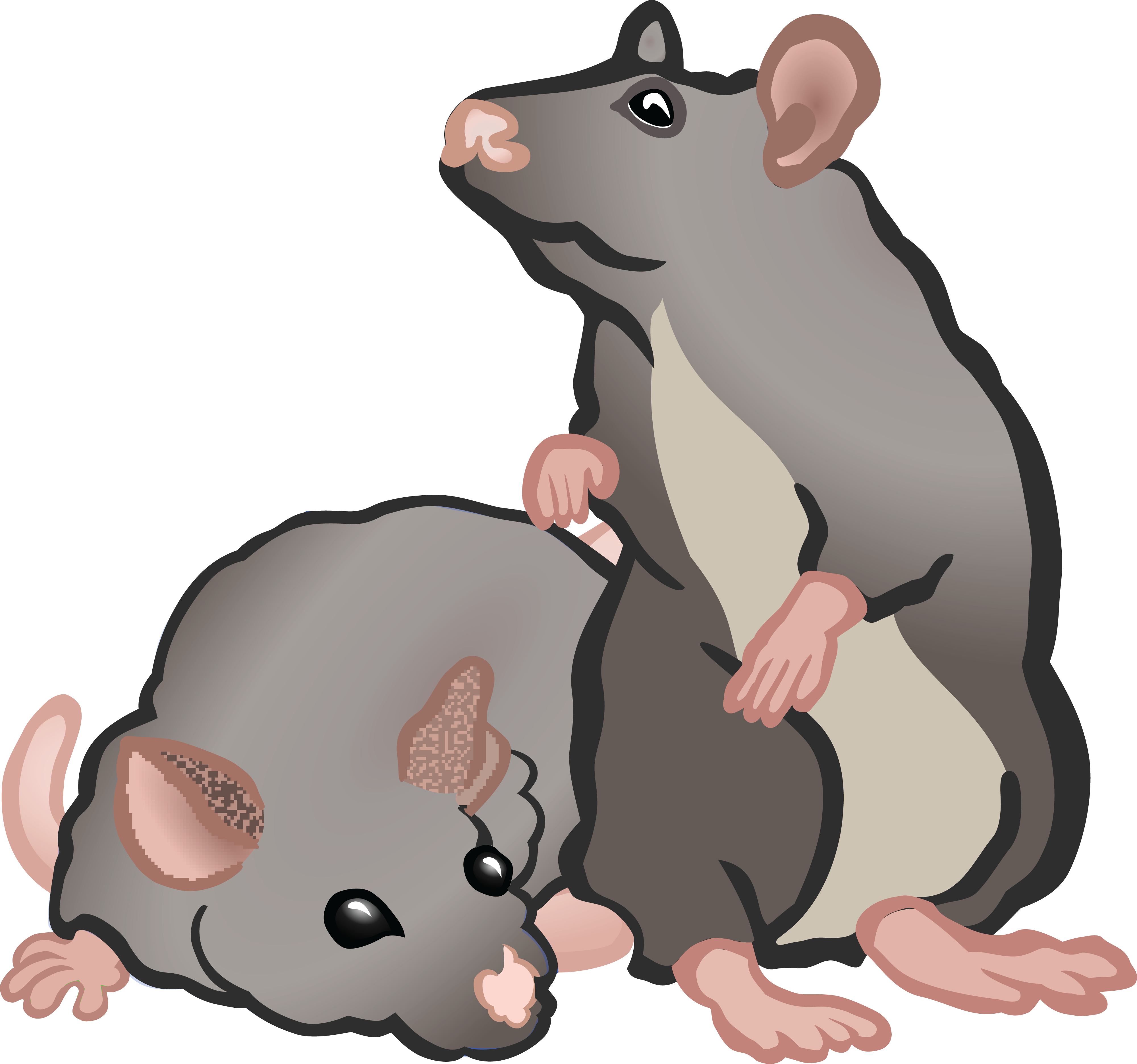 , , - Rats Clipart (4000x3742), Png Download