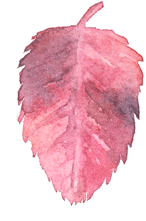 Pink Watercolor Transparent Free Download Png - Watercolor Background Pink Png (595x852), Png Download