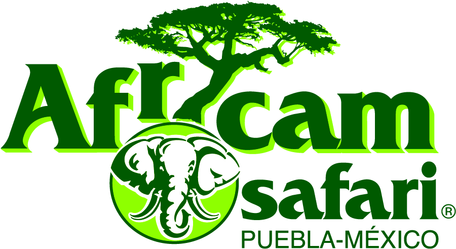 Africam Safari Puebla &187 Placer Y Negocios - African Safari Puebla Logo (1024x768), Png Download