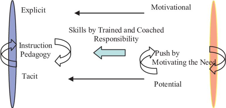Function Of Tacit And Explicit Education - Halton District School Board (850x368), Png Download