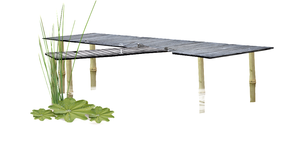 Pond Transparent (1024x581), Png Download