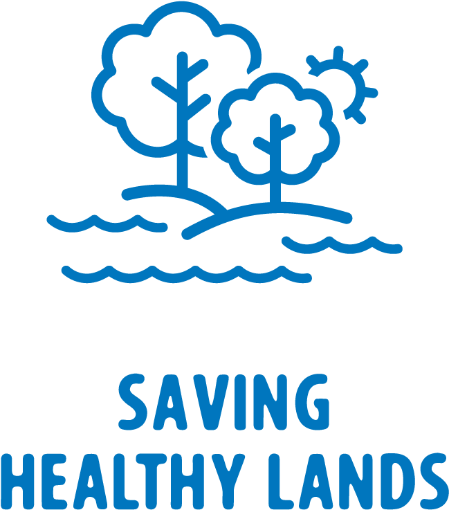 Pc Icon Green Land - Environmental Health Consultancy (900x900), Png Download