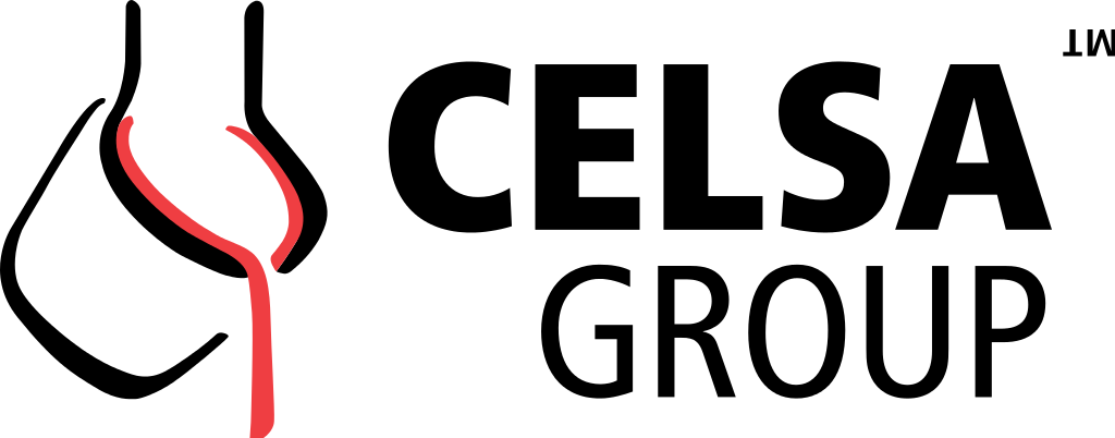 File - Celsa Group - Svg - Celsa Group Logo Png (1024x402), Png Download