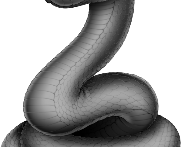 Drawn Serpent Snake Png - Snake In Grayscale (640x480), Png Download