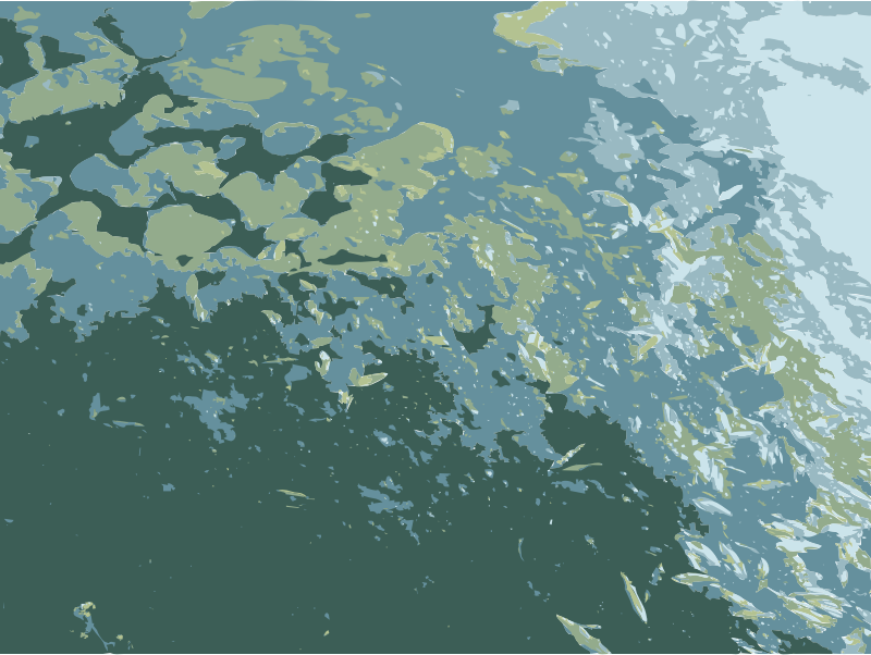 Medium Image - Portable Network Graphics (800x602), Png Download