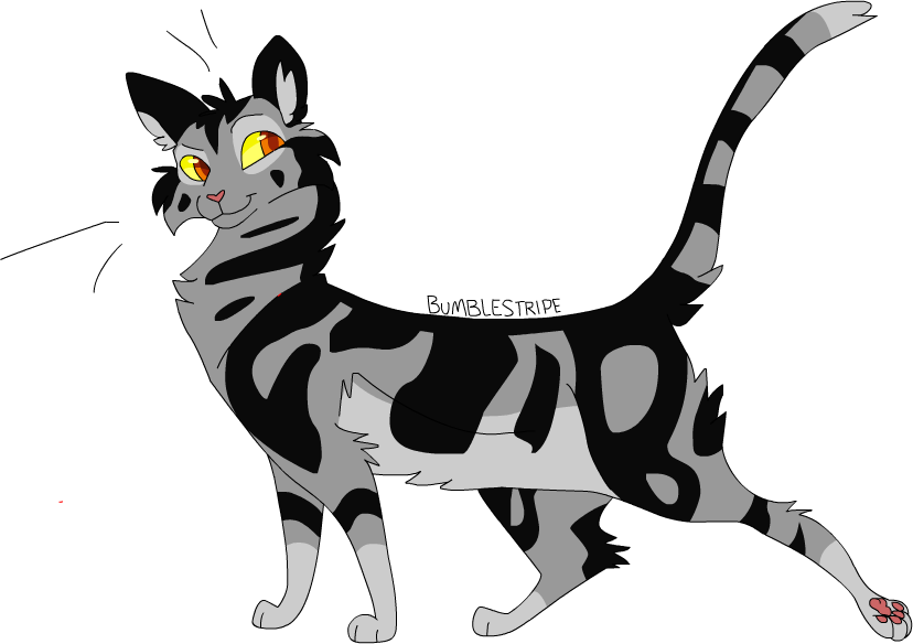 Picture Transparent Curled Tail Techflourish Collections - Warrior Cats Bumblestripe (828x584), Png Download