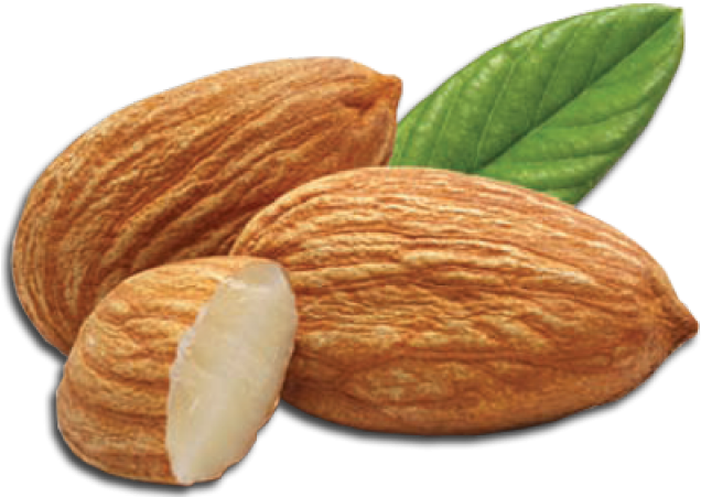 Almond Png Transparent Images - Almond Png Transparent (640x480), Png Download