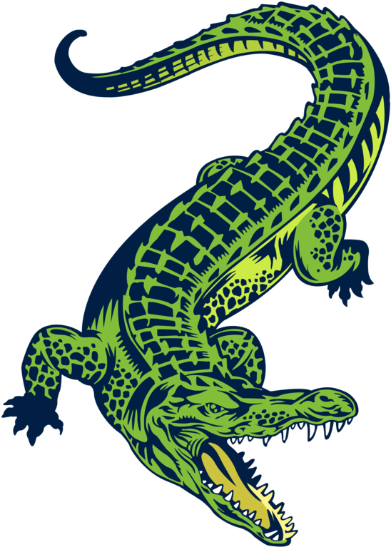 Relax Clipart Gator Tail - Boyo Vector (894x894), Png Download