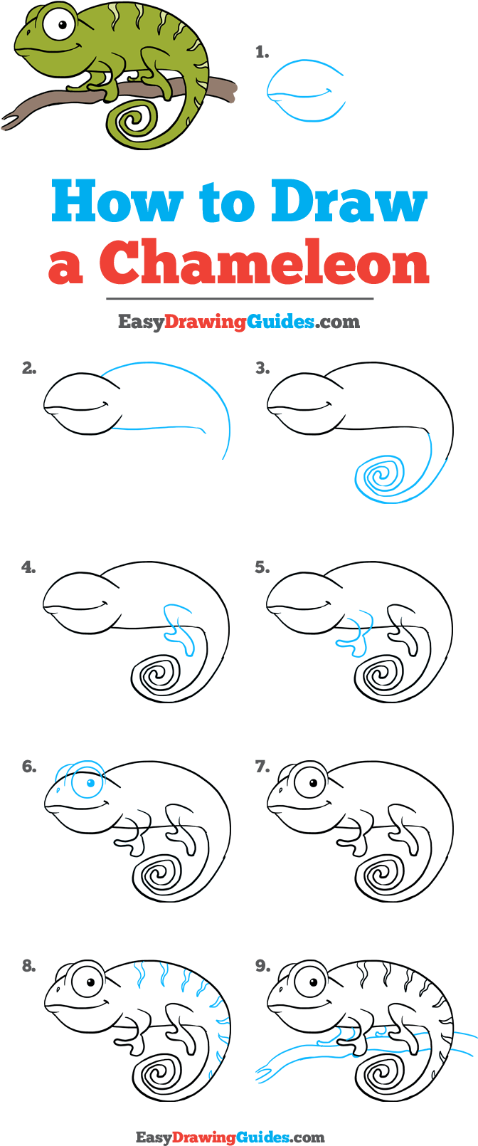 How To Draw A Chameleon With How To Draw A Chameleon - Draw A Chameleon Small (736x1672), Png Download