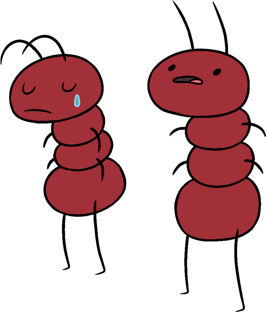 Adventure Time Ants - Hormiga Hora De Aventura (929x1083), Png Download