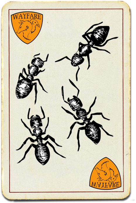 Carpenter Ants - Beetle (524x712), Png Download