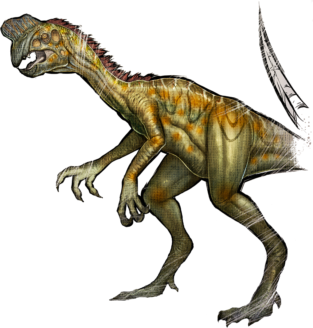 Image Png Wikia Survival Evolved Fandom Oviraptorpng (1054x1175), Png Download