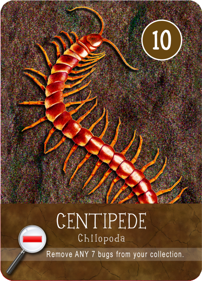 Centipede (1000x1000), Png Download