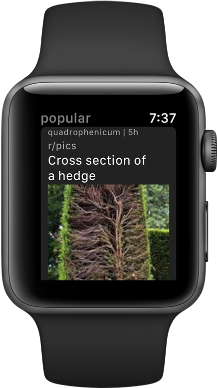 Apple Watch 3 Price (435x775), Png Download
