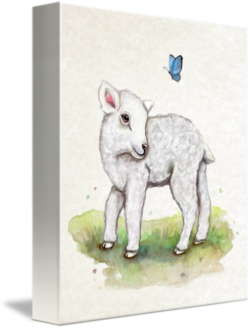 Little Lamb In Watercolor By Cheryl Marie - Sheep (494x650), Png Download