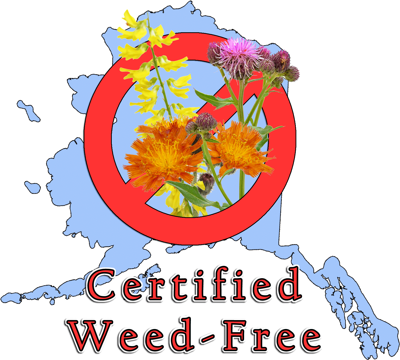 Alaska's Certified Weed-free Gravel Program Is A Voluntary - Illustration (1616x1467), Png Download