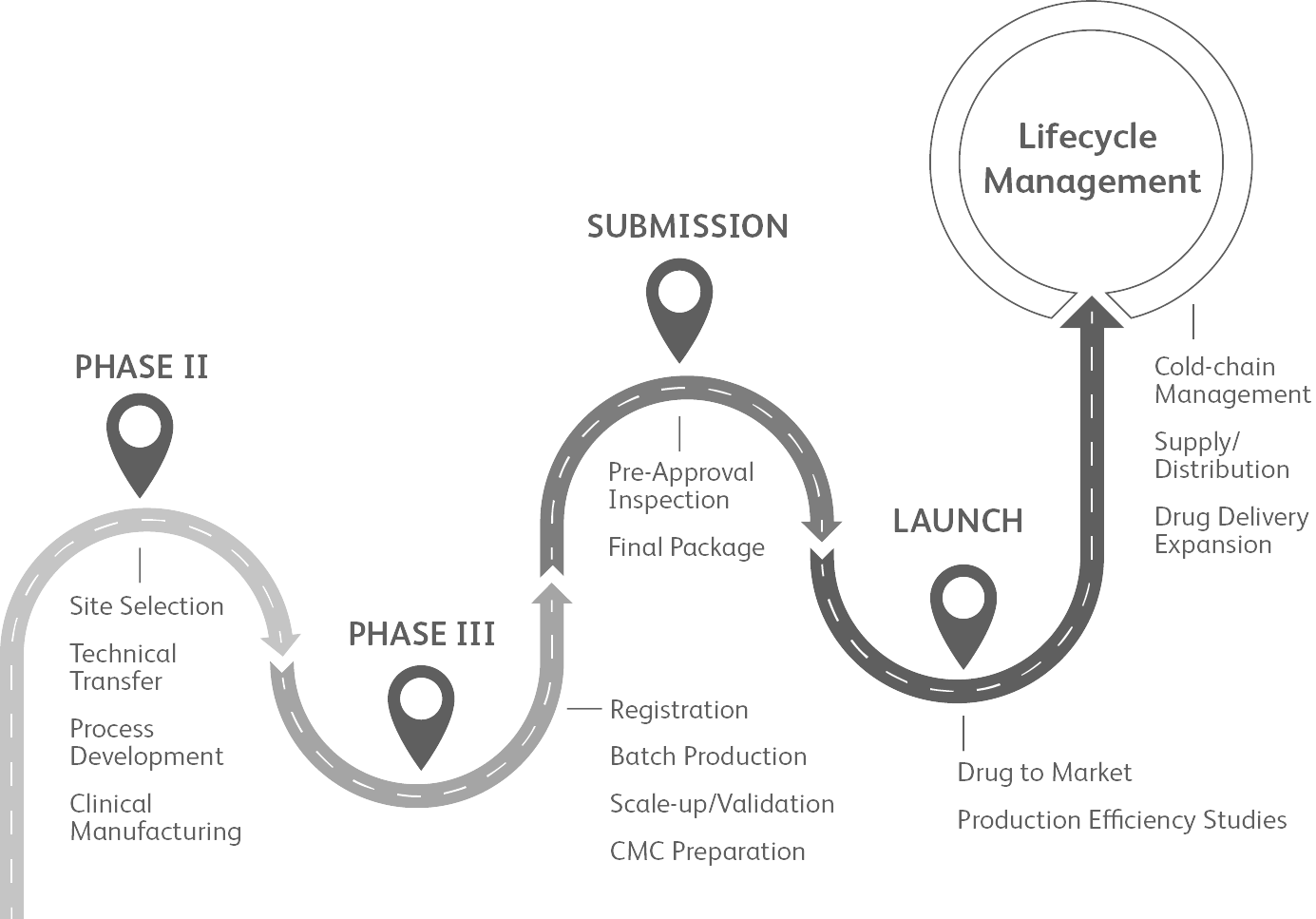 You'll Work With One Dedicated Program Manager Who - Drug Development Process Pfizer (1385x967), Png Download