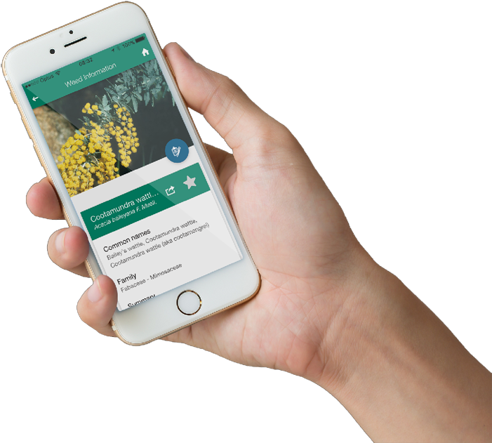 Myweedwatcher App For W - Indigo Weel Application (734x646), Png Download