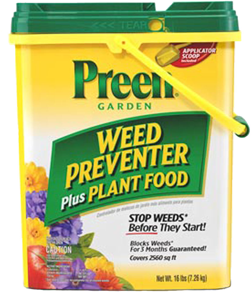 Preen Green (1000x1000), Png Download