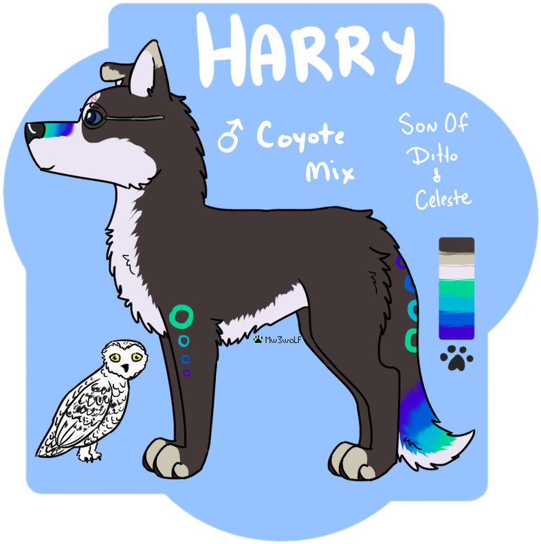 Ditto And Celeste - Sakhalin Husky (797x800), Png Download