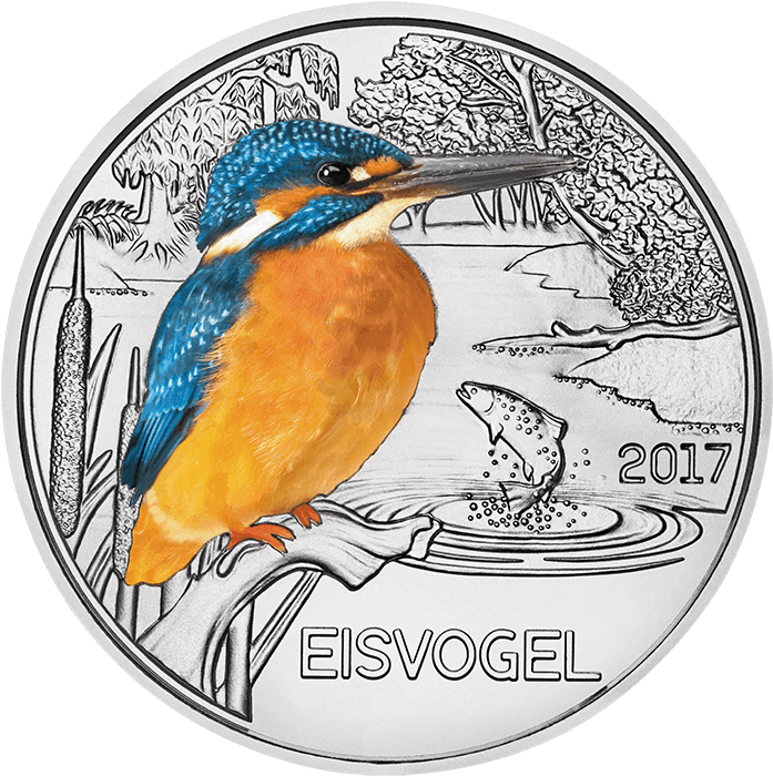 Colourful Creatures, The Kingfisher - Tier Taler Eisvogel (716x716), Png Download