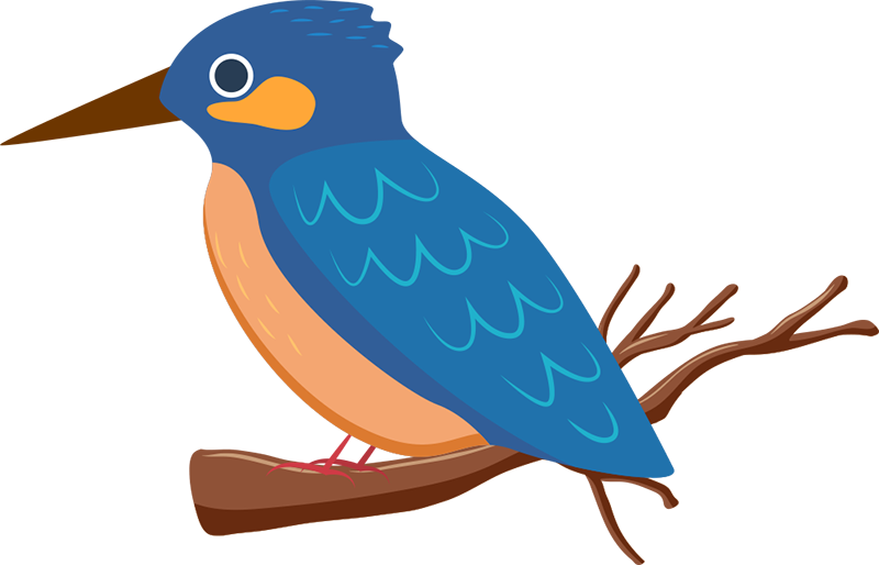 Kingfisher Wall Sticker - Coraciiformes (800x514), Png Download