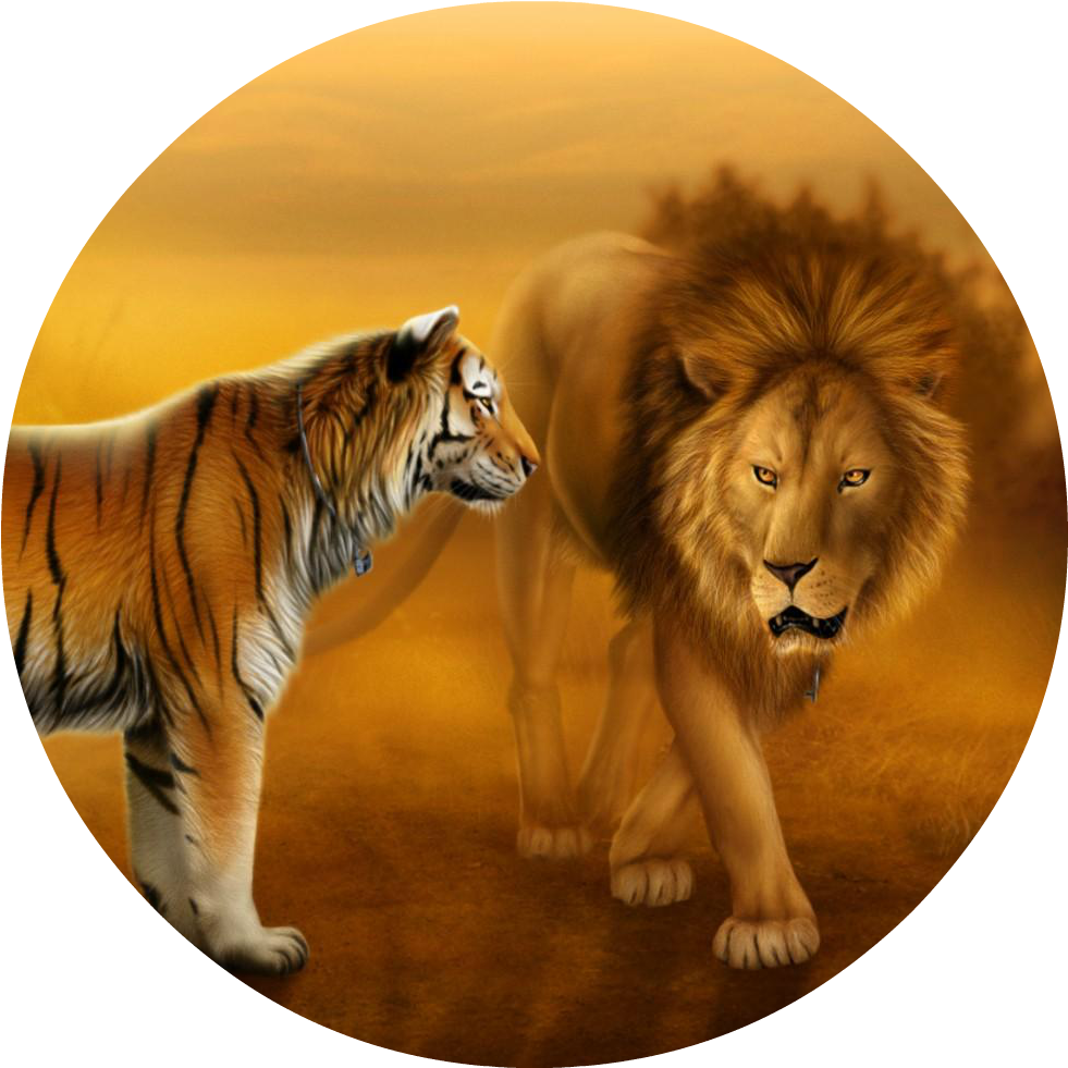 Wallpapers Of Tigers And Lions Dekstop Wallpaper Hd - Lion And Tiger Face To Face (1680x1050), Png Download