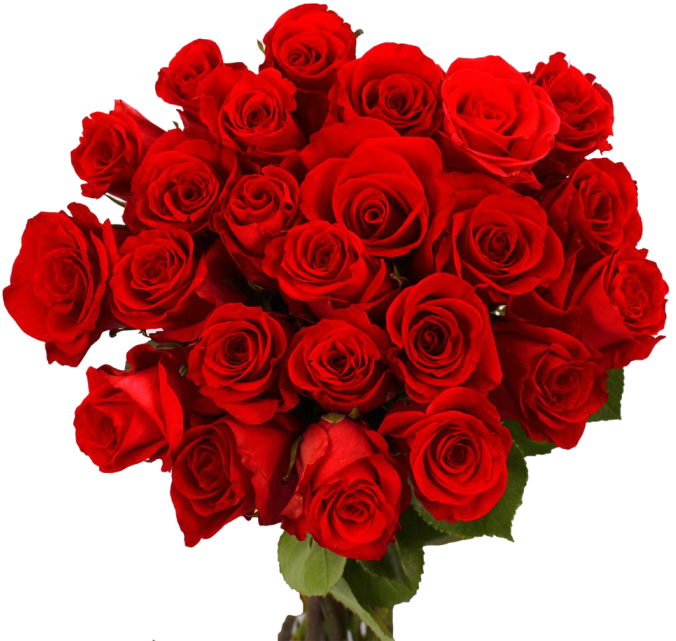 Valentine Day Flower Png Download Image - Red Roses (700x700), Png Download