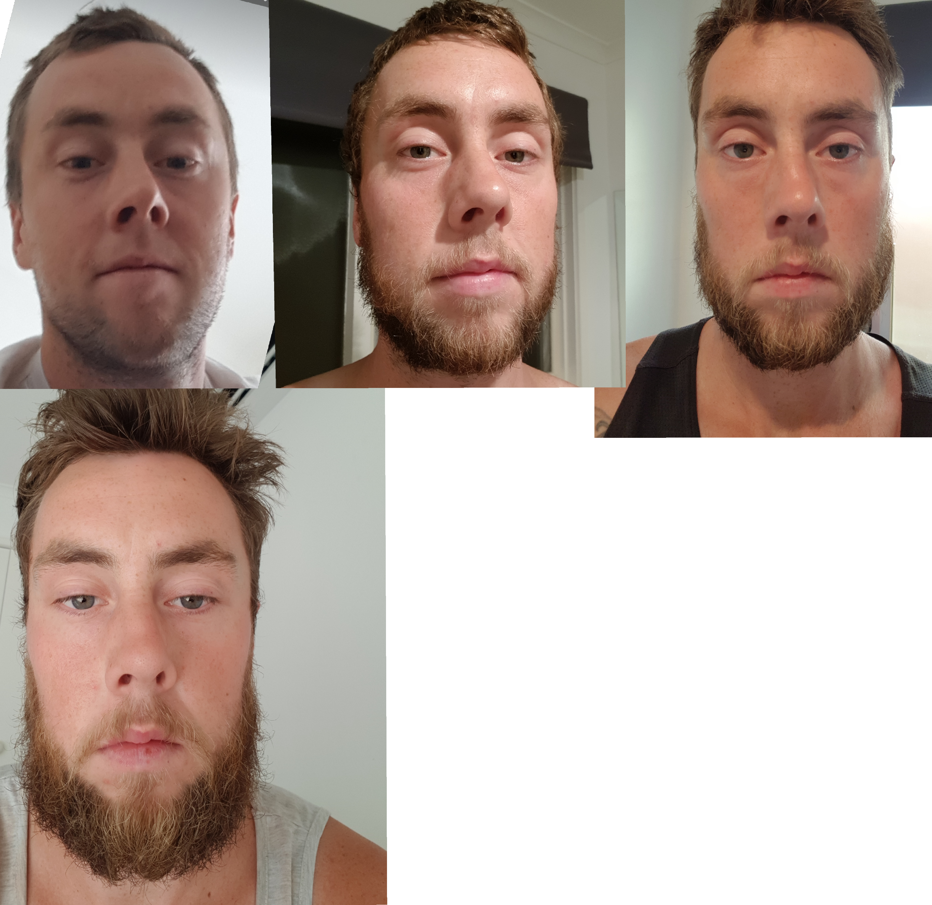 Beard-on Brothers - Collage (3716x3609), Png Download