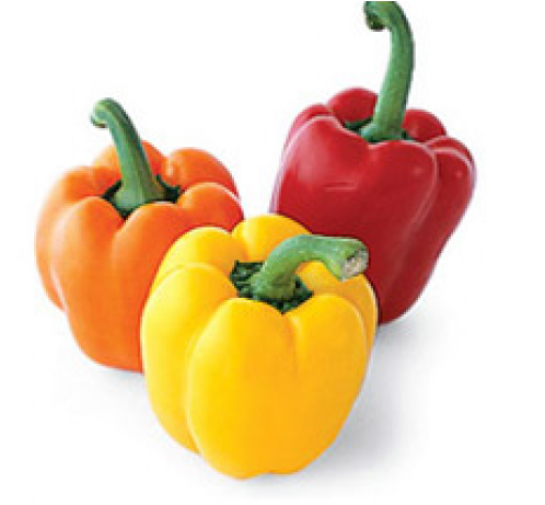Multi Bell Sweet Peppers - Bell Peppers (736x460), Png Download