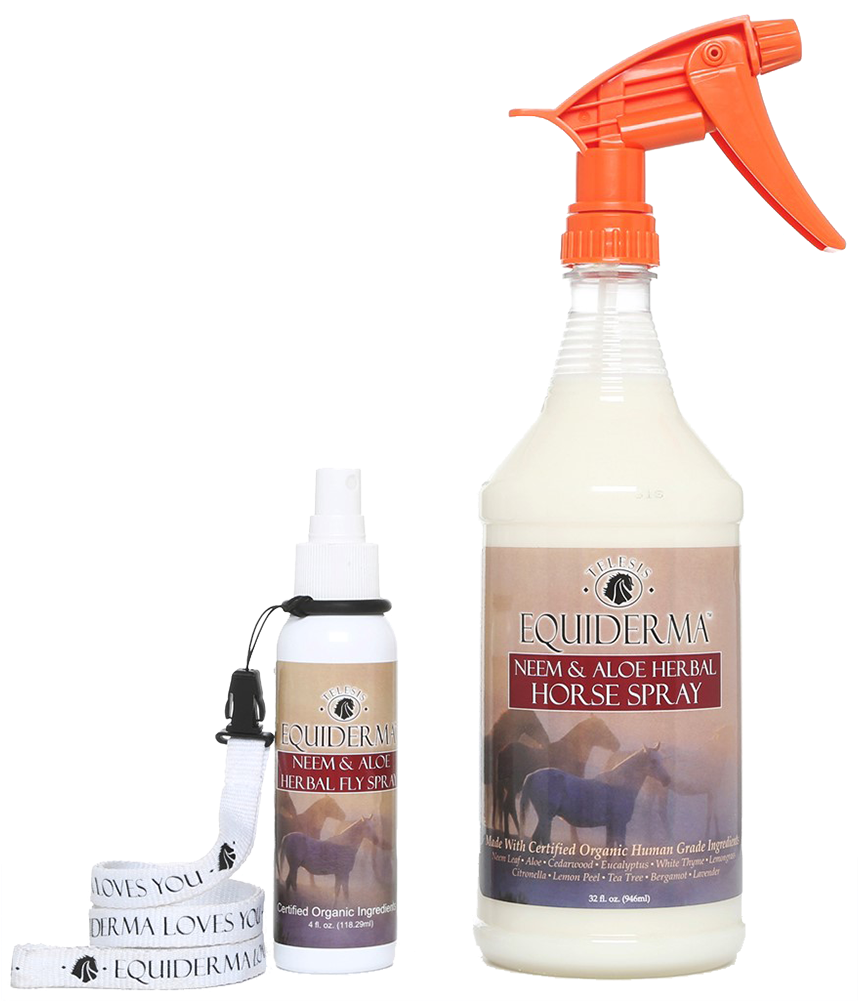 Neem & Aloe Natural Horse Spray Plus Free 4oz Travel - Lotion (1000x1000), Png Download