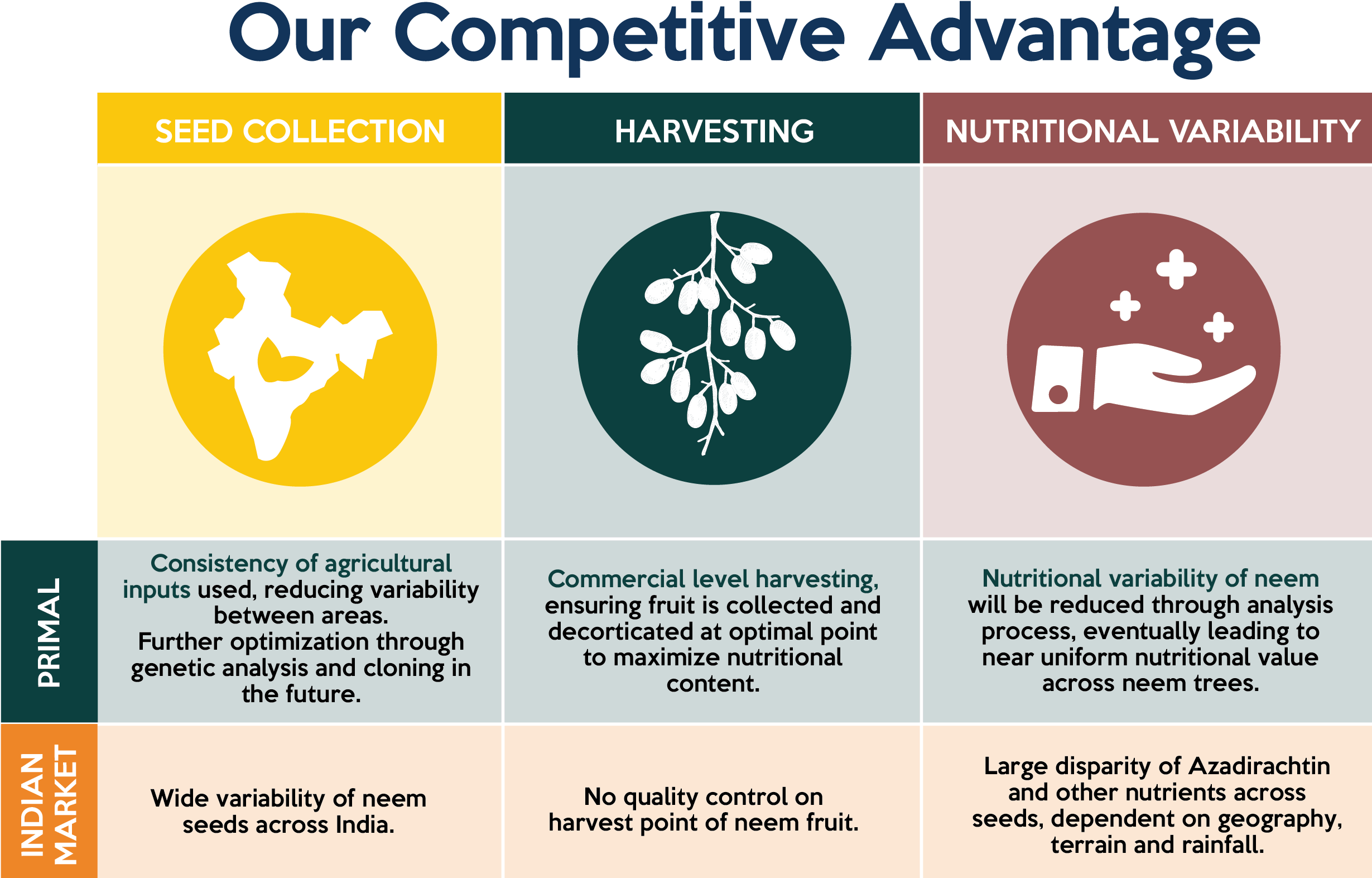Having Realized The Role That Neem Would Play In The - Graphic Design (2458x1603), Png Download
