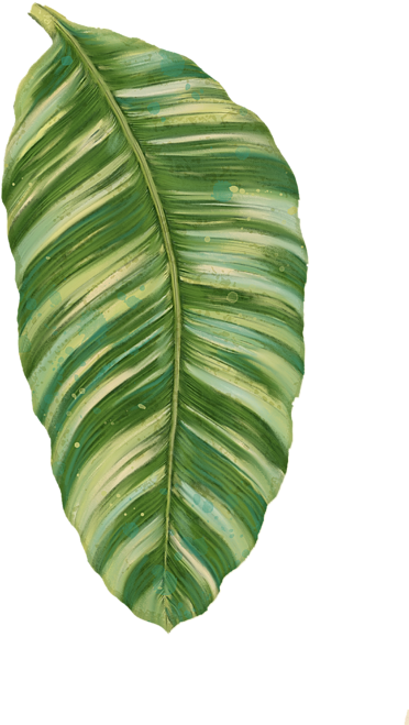 Click And Drag To Re-position The Image, If Desired - Rainforest Resort - Tropical Banana Leaf (470x700), Png Download