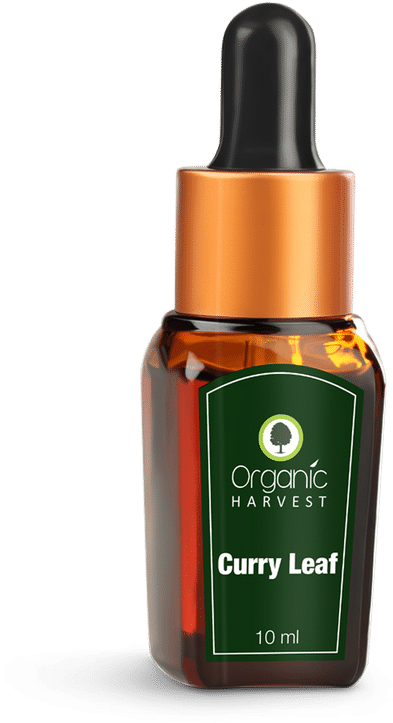 Organic Harvest Curry Leaf Essential Oil - Organic Essential Oils Lavender (800x800), Png Download