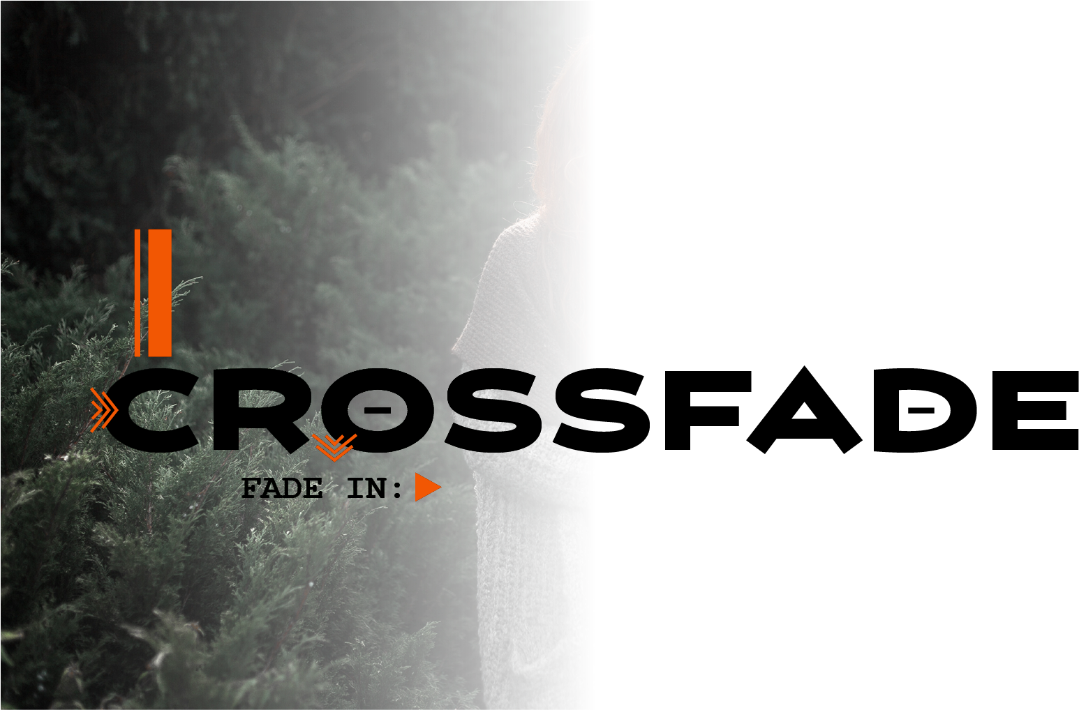 New Crossfade Effect Banner Made With Adobe Indesign - Tree (1556x1017), Png Download