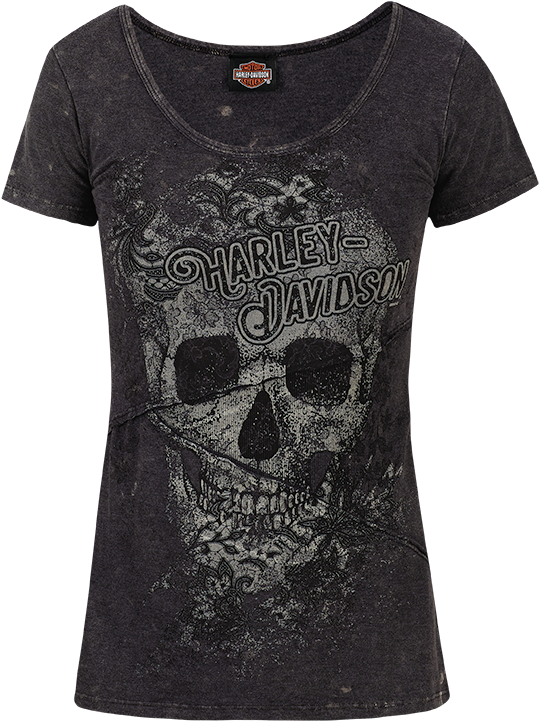 Harley Davidson Seamed Skull Dealer Tee - Fashion Design (720x720), Png Download