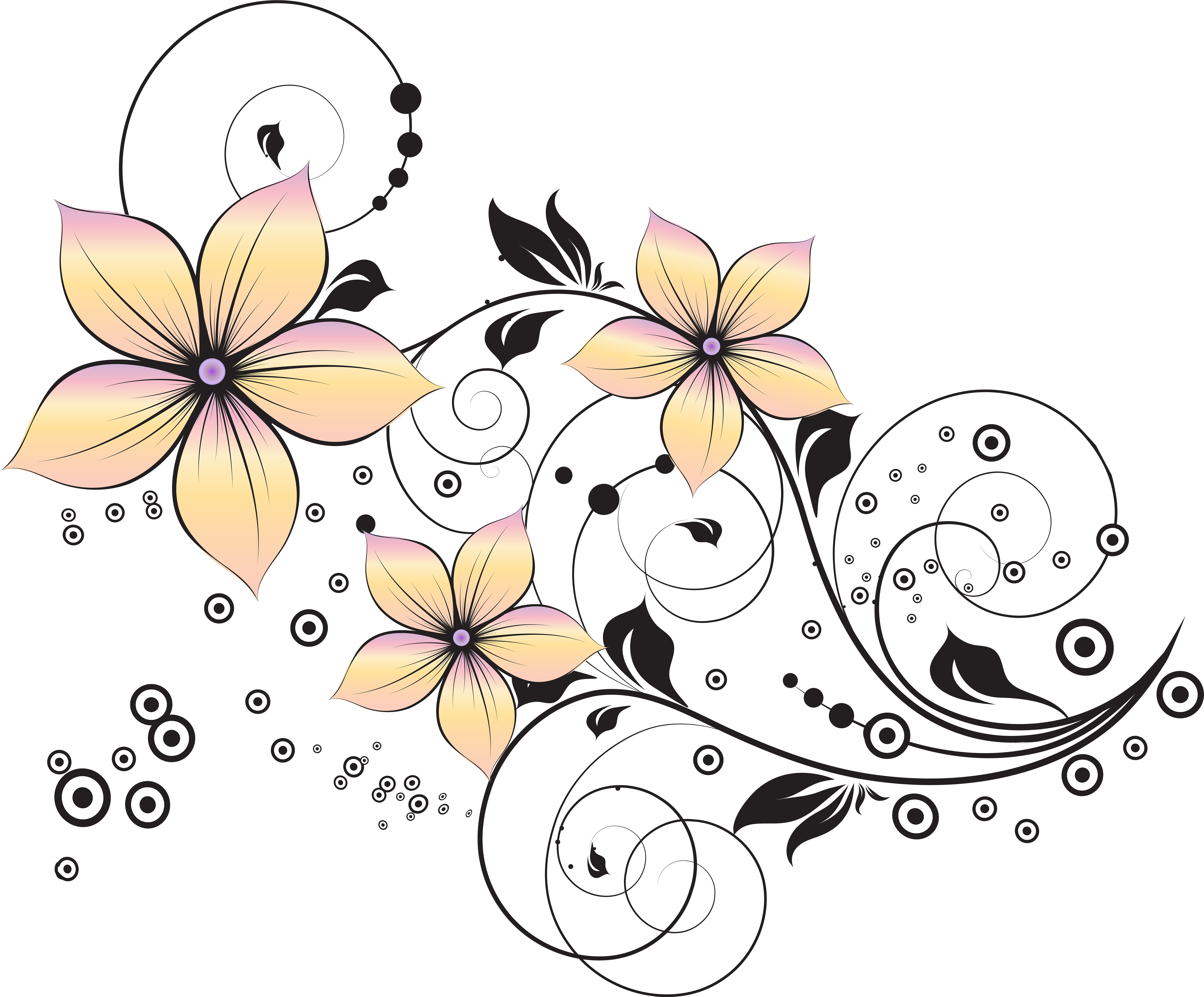 Floral Decoration Clip Art Image (8000x6625), Png Download