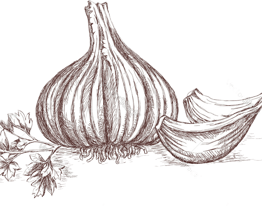 Cut Mango - Clip Art (1100x1100), Png Download