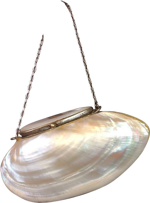 Unique Victorian French Fashion Purse C With - Clam (682x682), Png Download