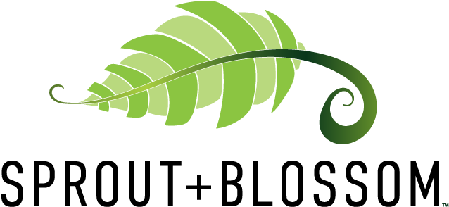 Graphic Design (720x576), Png Download