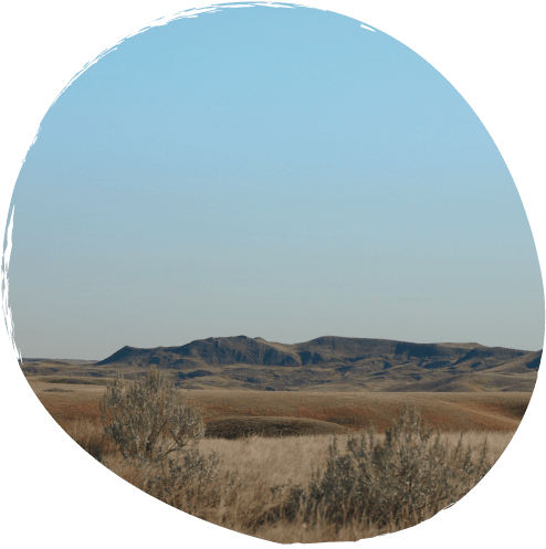 A Peaceful Retreat - Steppe (612x568), Png Download