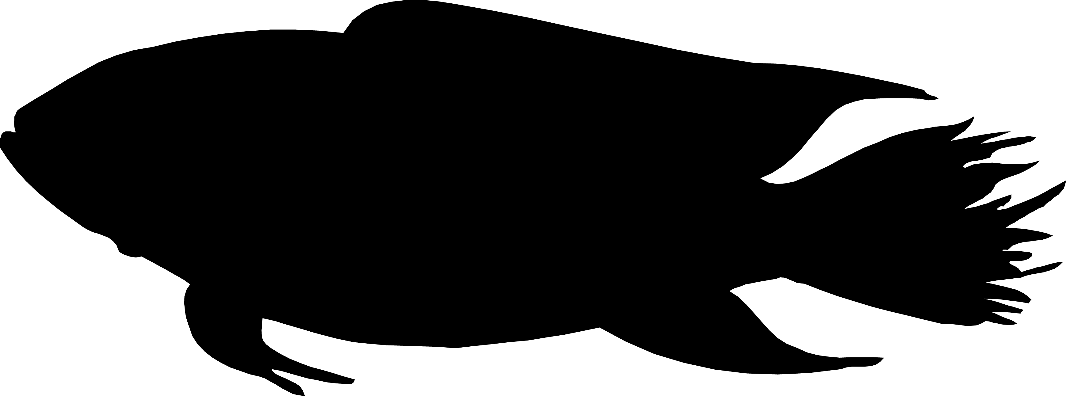 Fish Silhouette (3477x1292), Png Download