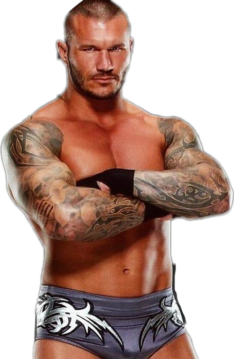 Wwe 2k16 Randy Orton (480x736), Png Download