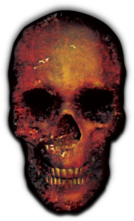 24 Mar 2009 - Skull (503x800), Png Download