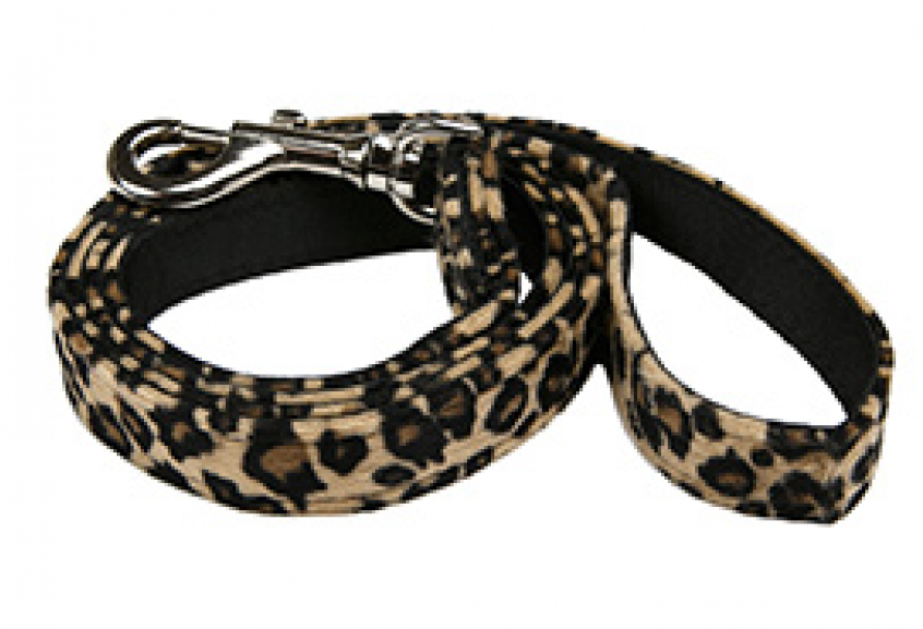 Leash (845x1000), Png Download