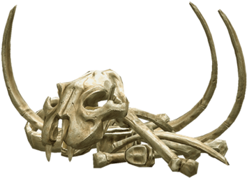 Bones Png Transparent - Transparent Bones Png (800x486), Png Download