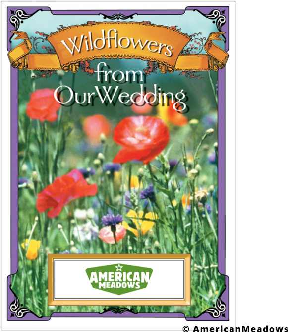 Wildflowers From Our Wedding Seed Packet - American Meadows (700x700), Png Download
