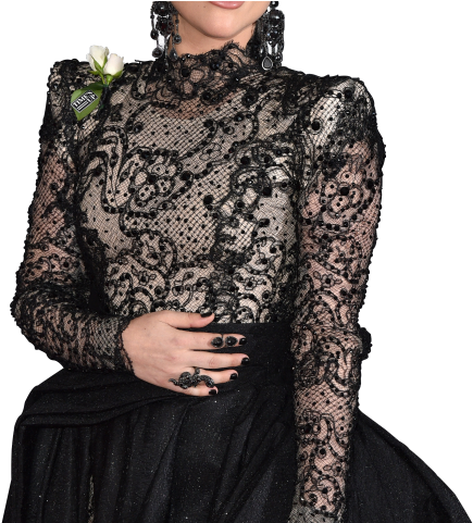 Lady Gaga Png Transparent Images - Photo Shoot (640x480), Png Download