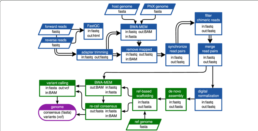 Double Arrows Indicate Steps Where The Read Pairs Were - Parallel (850x433), Png Download
